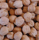 Garbanzo